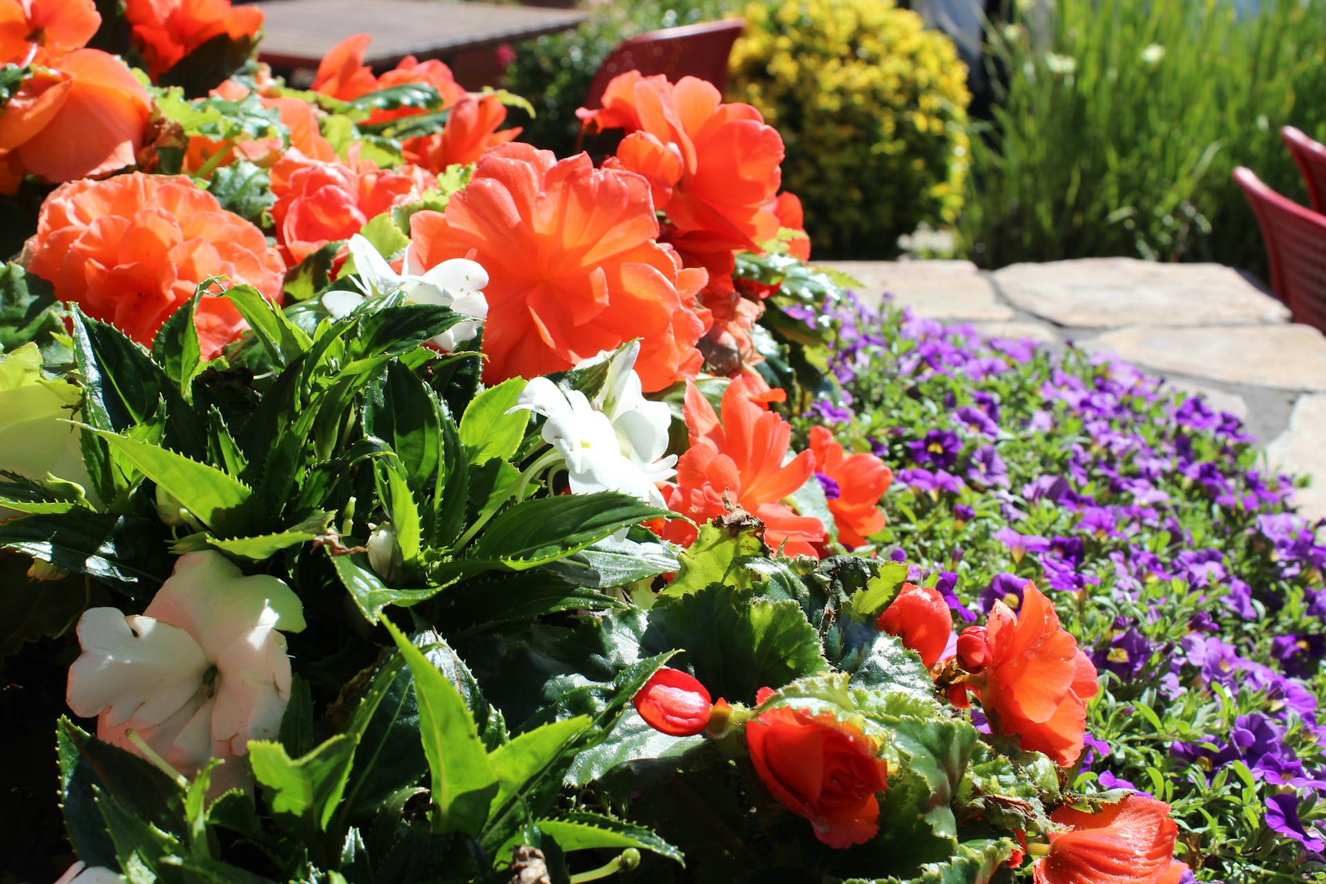 Beautiful flower bed installation